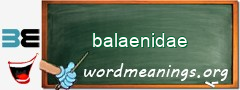 WordMeaning blackboard for balaenidae